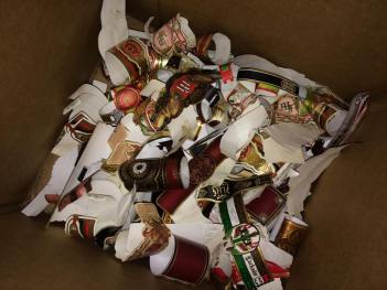 10822519_10203370195119055_549763107_n