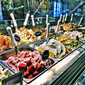 12642453_1546195465693455_5576244602007069089_n